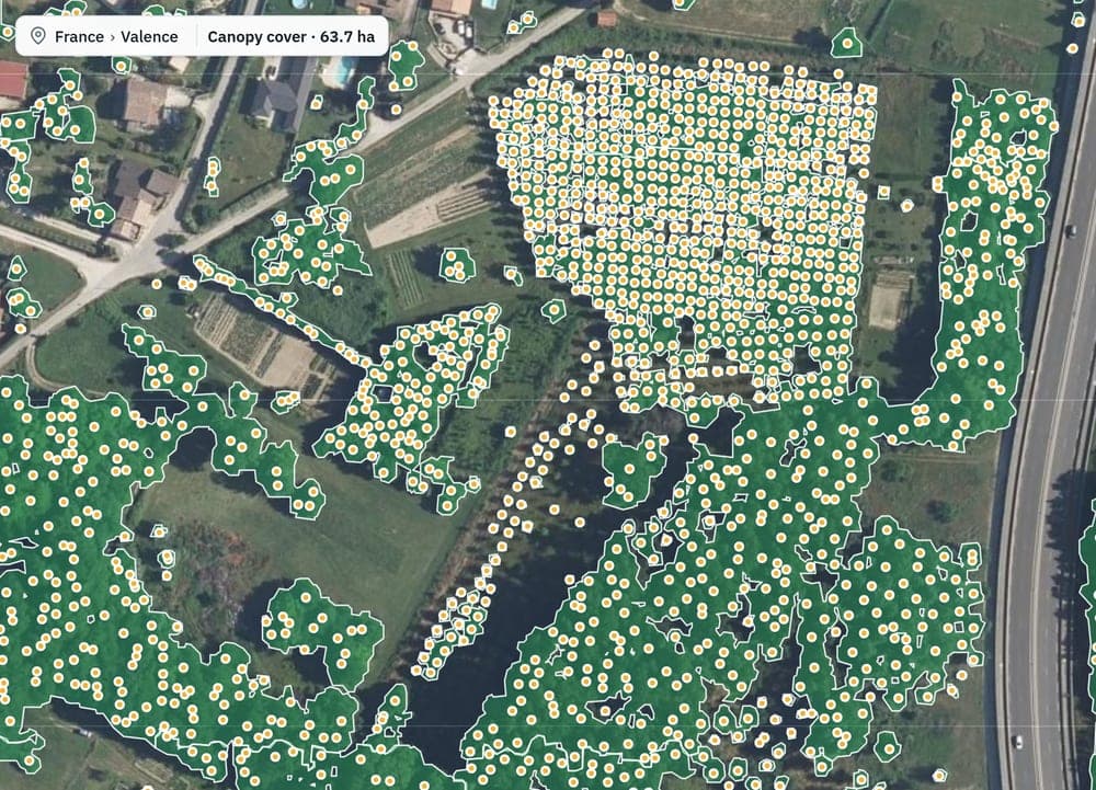 The merged canopy view, with the canopy cover of the site in hectares