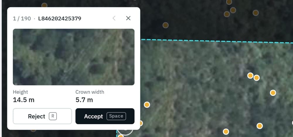 Reviewing trees one by one: a close-up of the tree, its LiDAR height and crown width, with Accept and Reject
