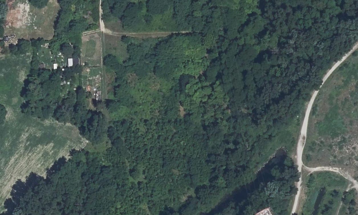 Aerial orthophoto of trees, with surveyed trees marked